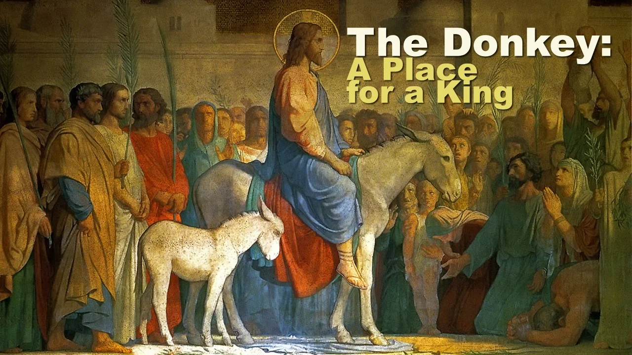 The Donkey: A Place for a King