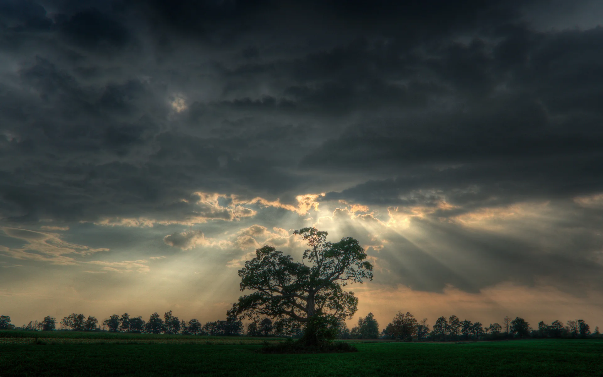 Cast Your Cares Upon Jesus