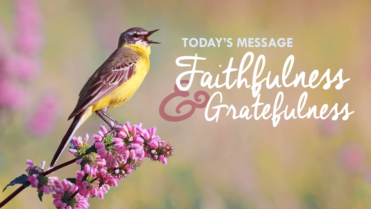 Faithfulness &amp; Gratefulness