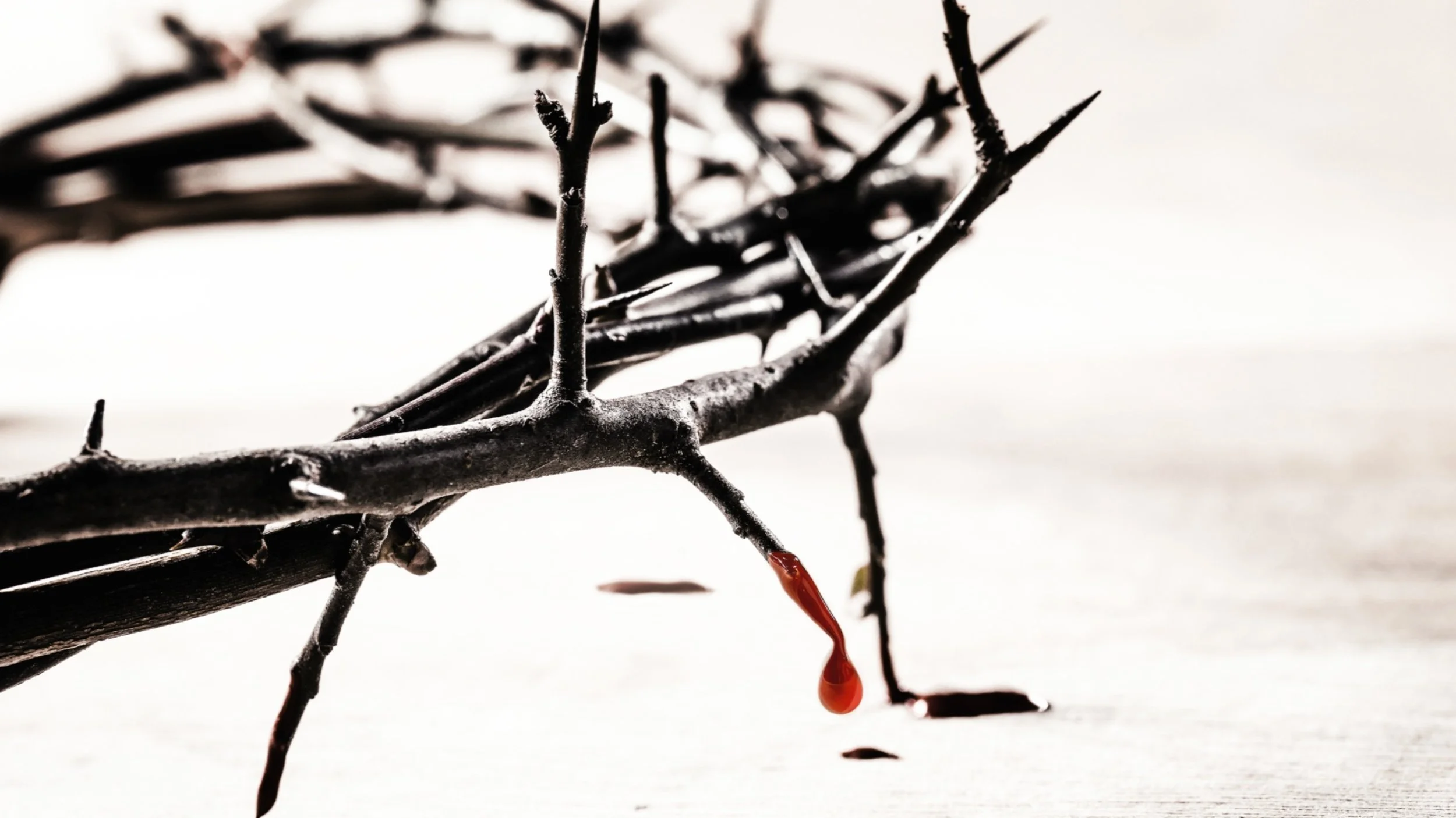 By His Wounds We Are Healed