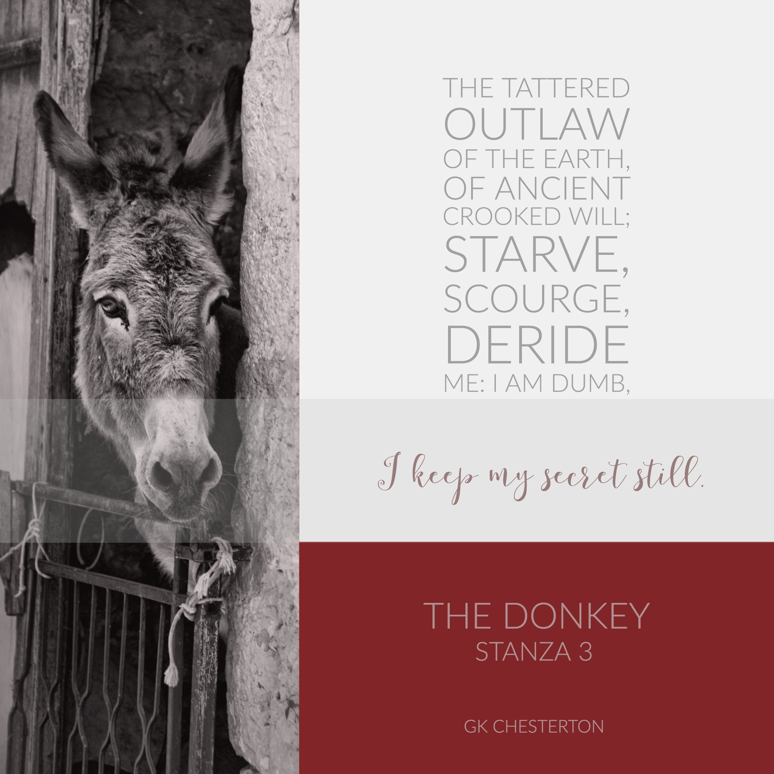 The Donkey 3.jpg