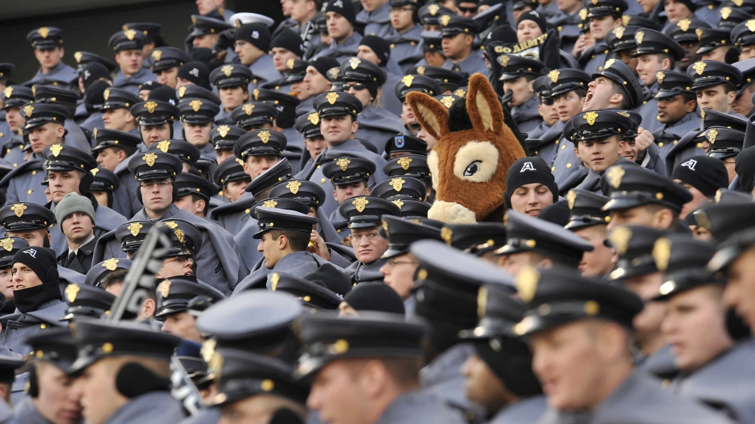 Can I get a Witness?