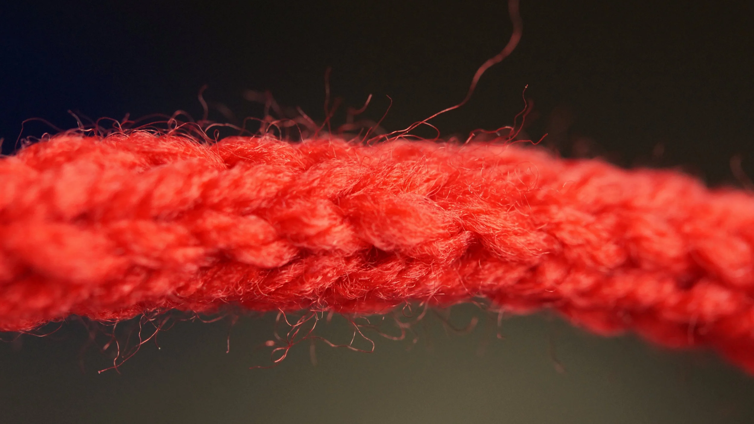 The Crimson Cord