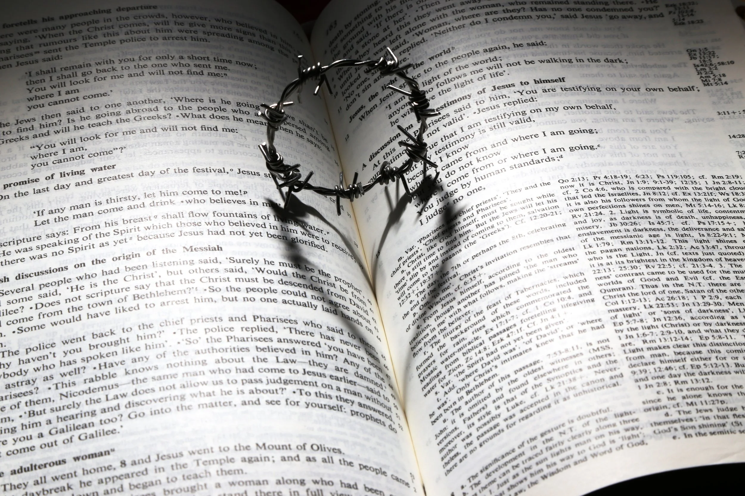 The Crown of Christ's Love