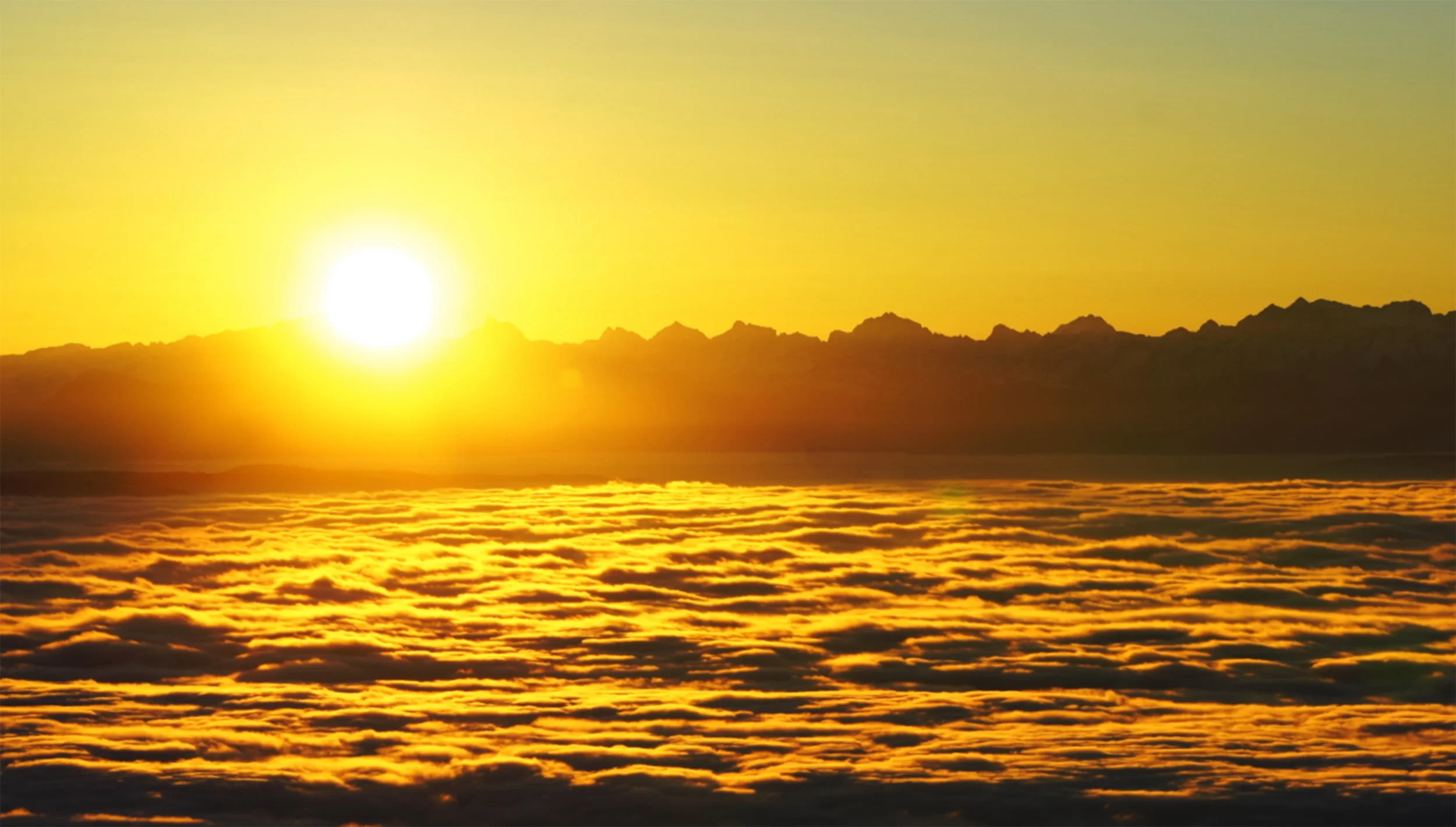 The Word Became Flesh: A Man Named John