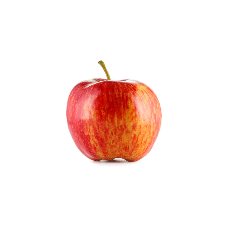 Feed My Sheep Program