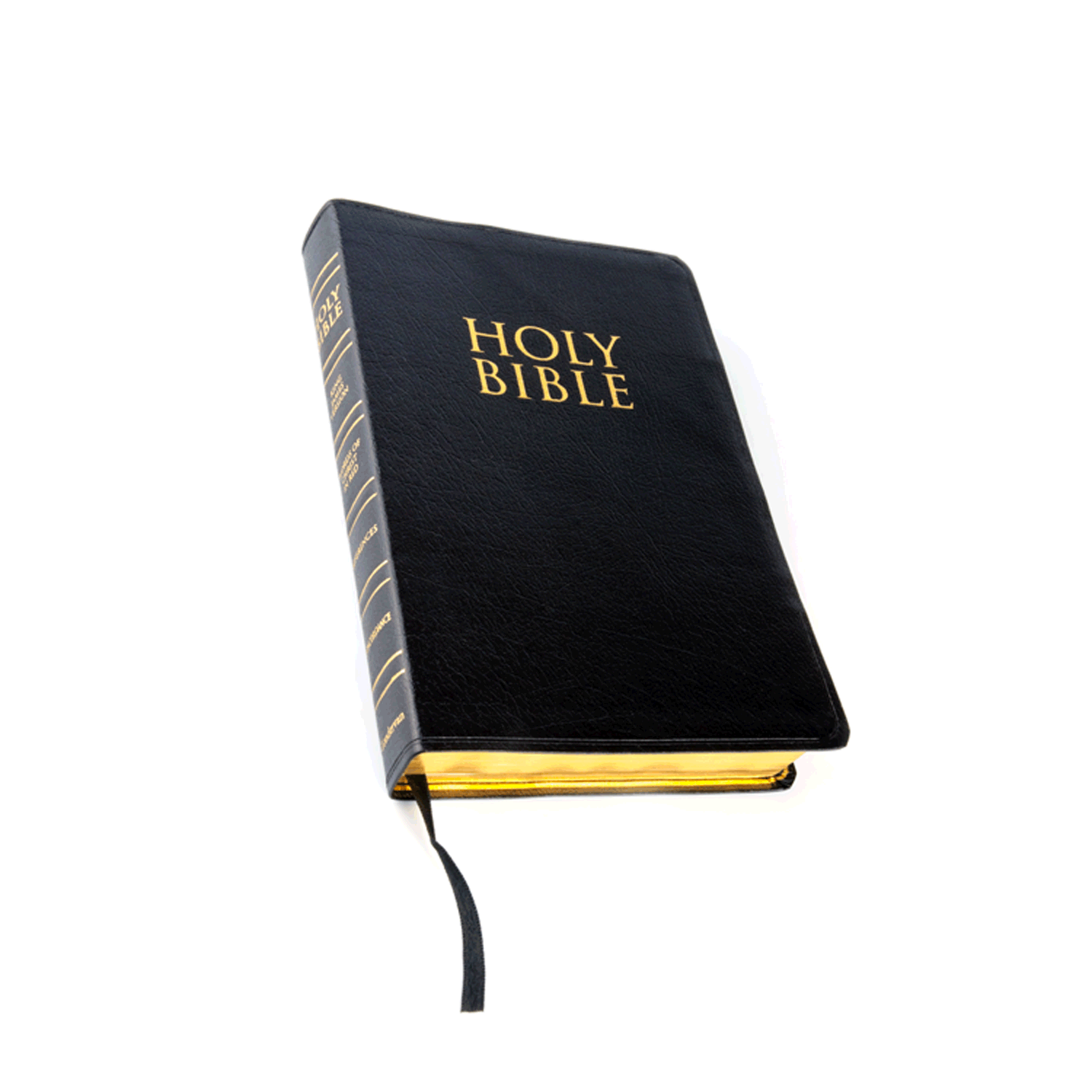 Adult Bible Study