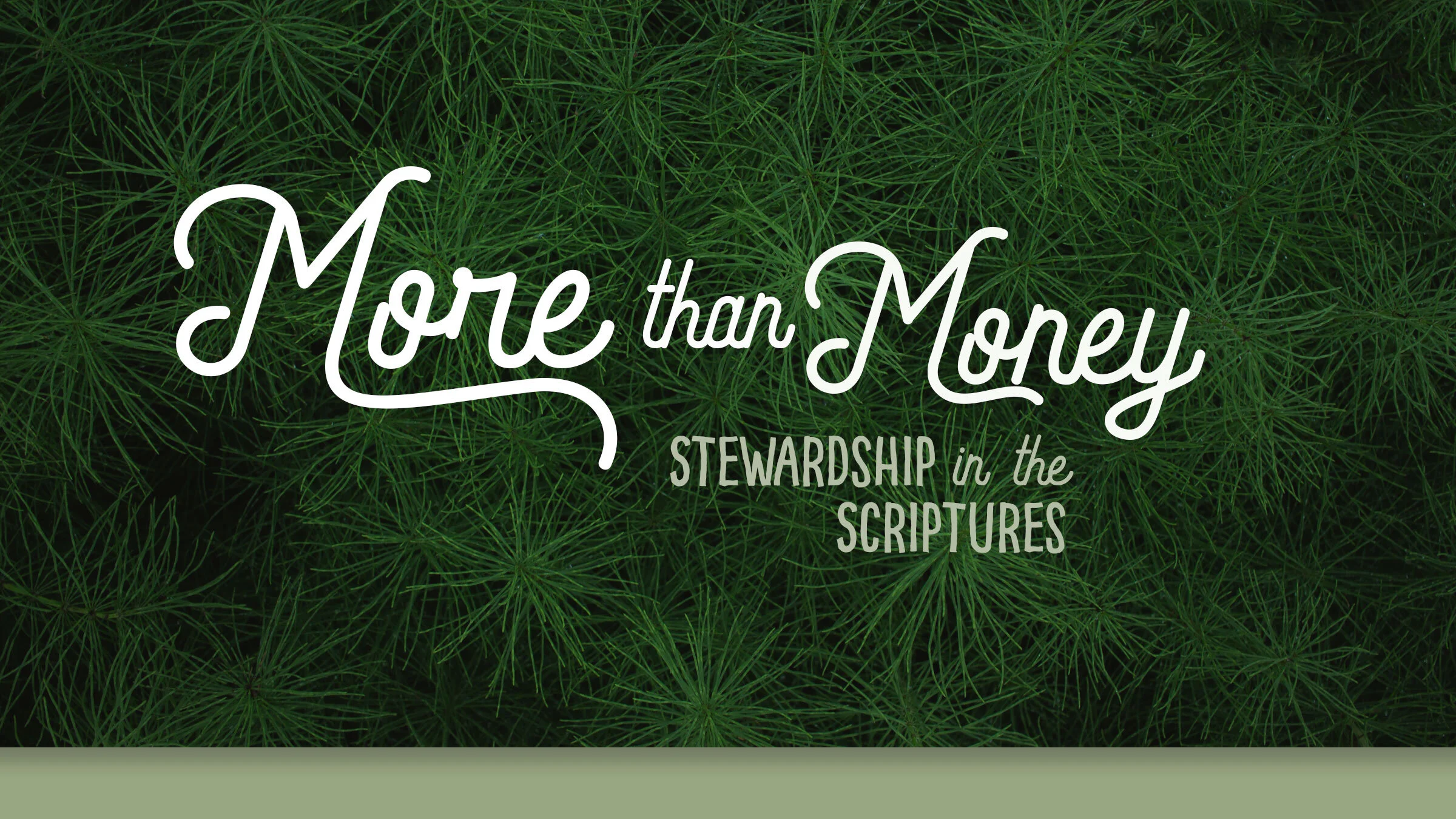 More Than Money: Stewardship in Scripture | John 3:16