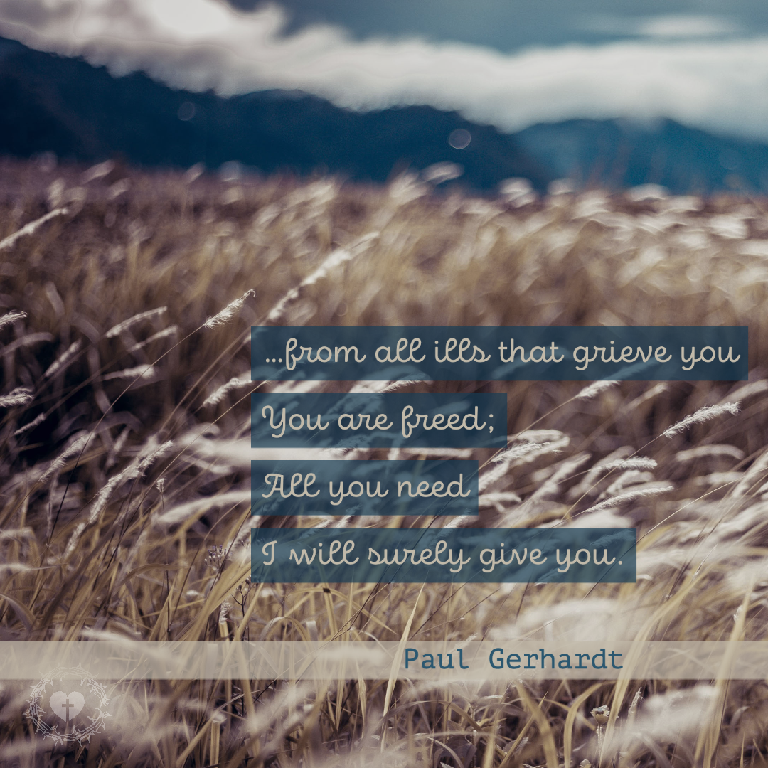 All My Heart Again Rejoices