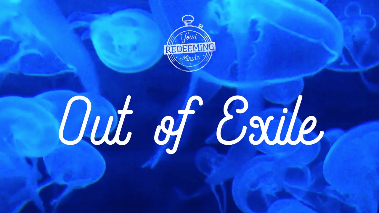 Out of Exile
