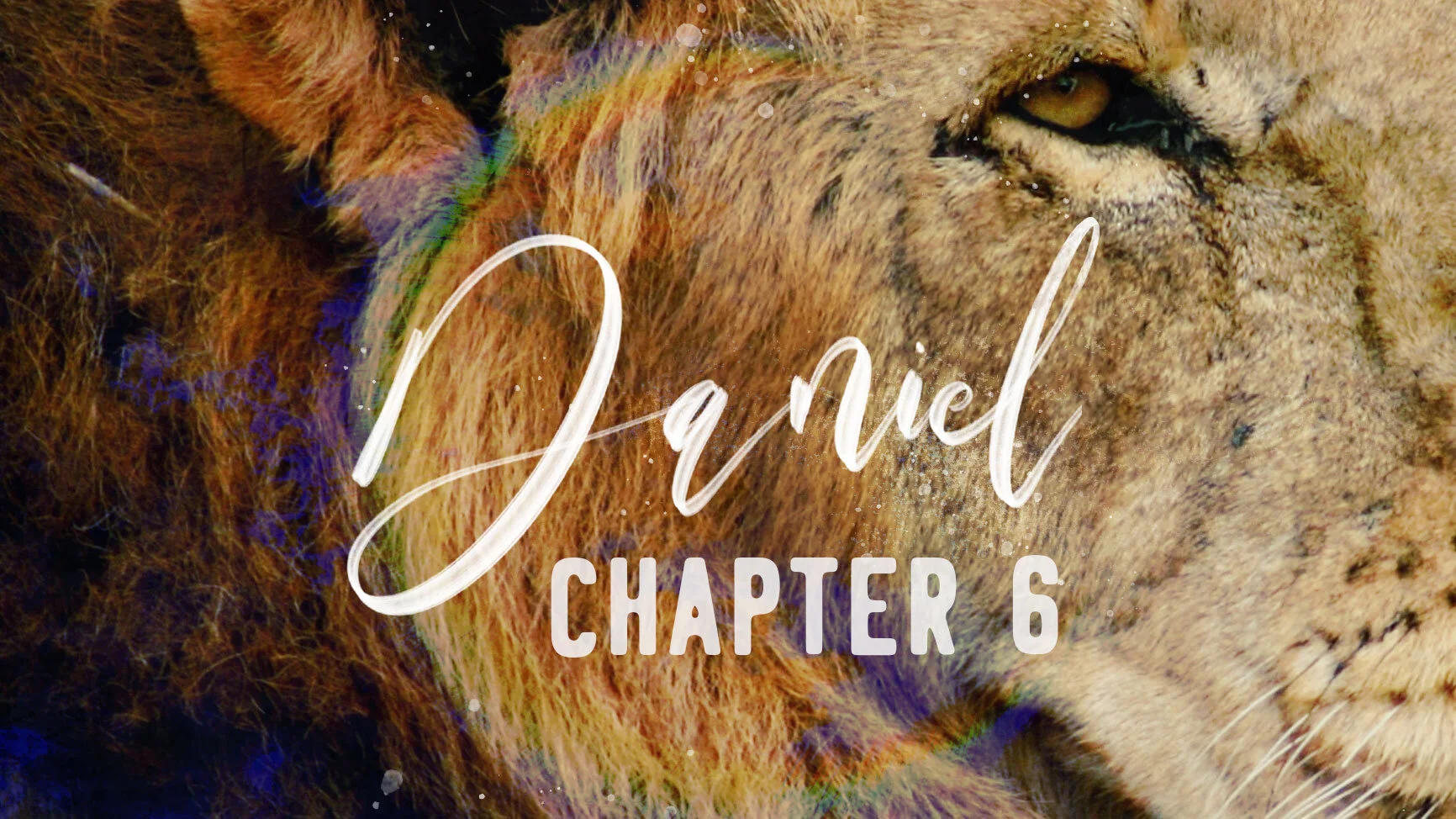 Daniel 6