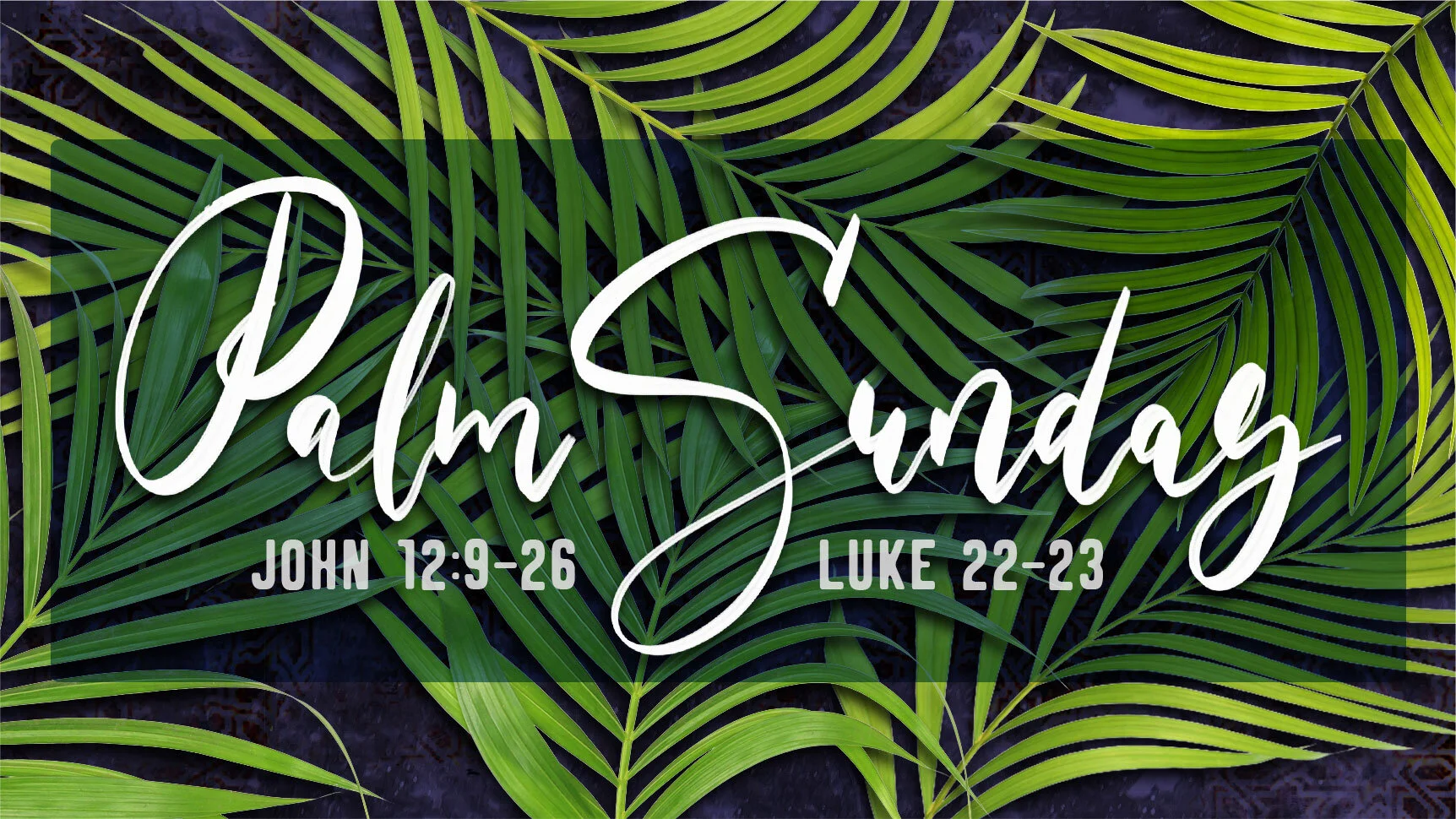 Palm Sunday | Passion Sunday | A Reading of the Passion of the Christ 