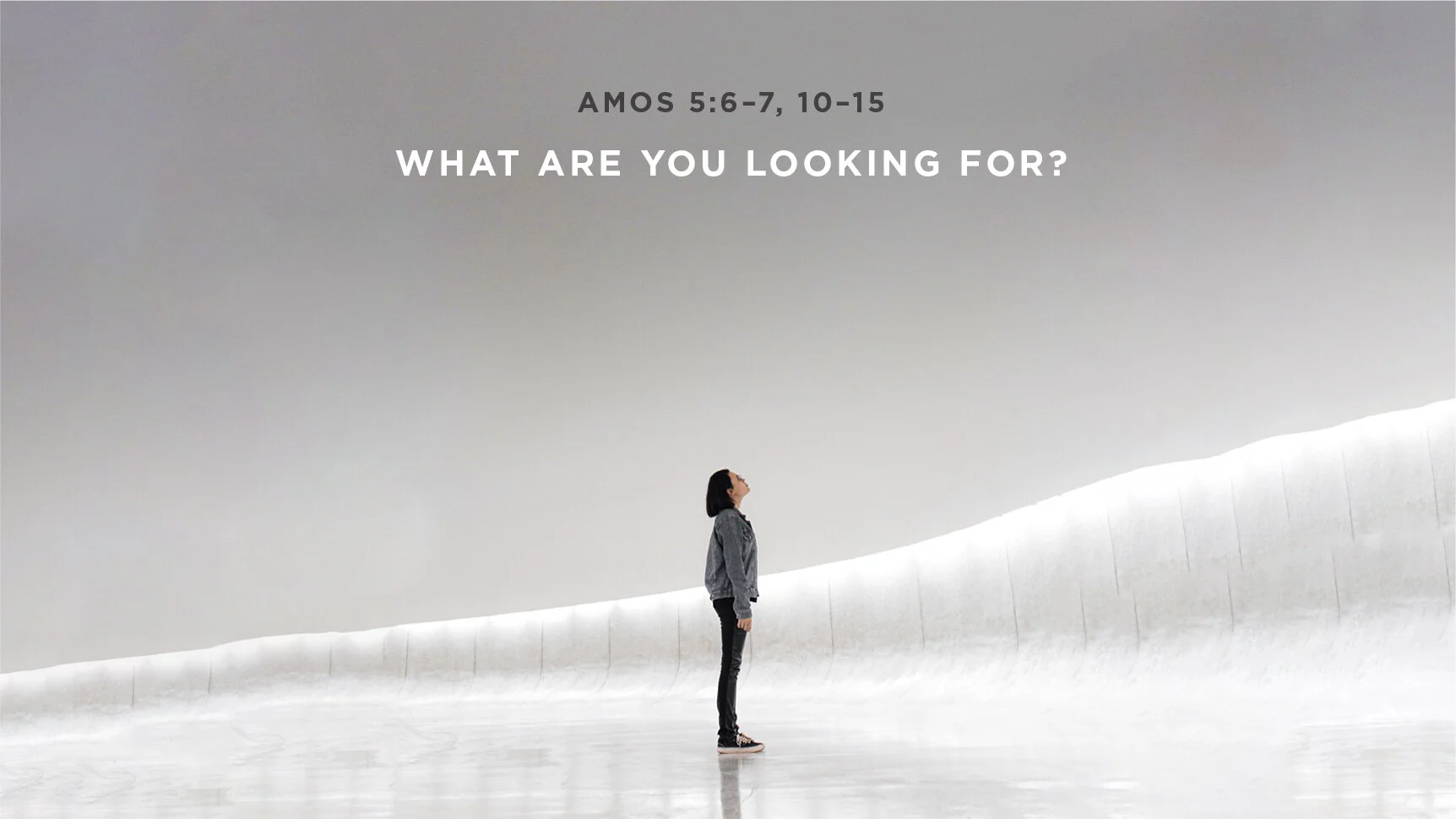 What Are You Looking For? | Amos 5:6–7, 10–15  | Twentieth Sunday after Pentecost