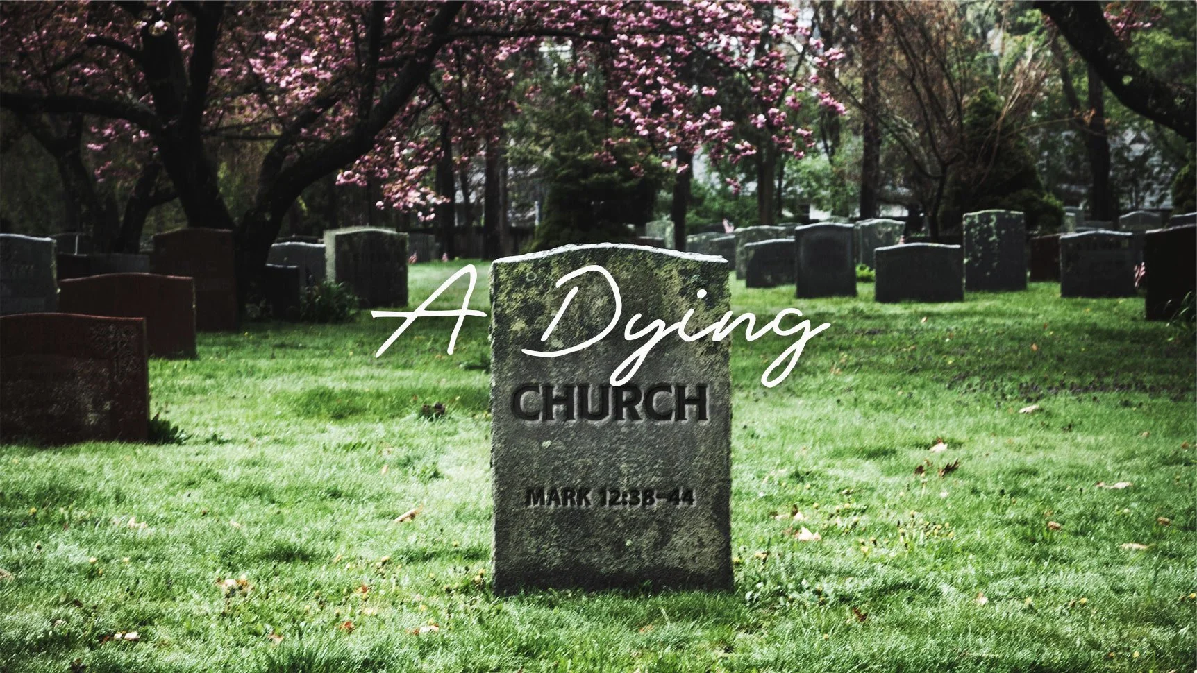 A Dying Church | Mark 12 : 38–44 | Twenty-fourth Sunday after Pentecost