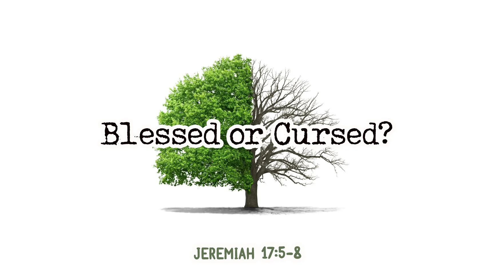 Blessed or Cursed? | The Sixth Sunday after the Epiphany | Jeremiah 17:5–8