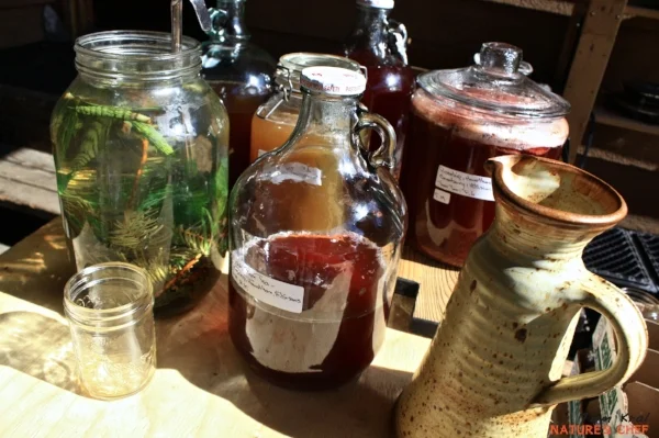 Fermentation Station. Photo: Tom Kral