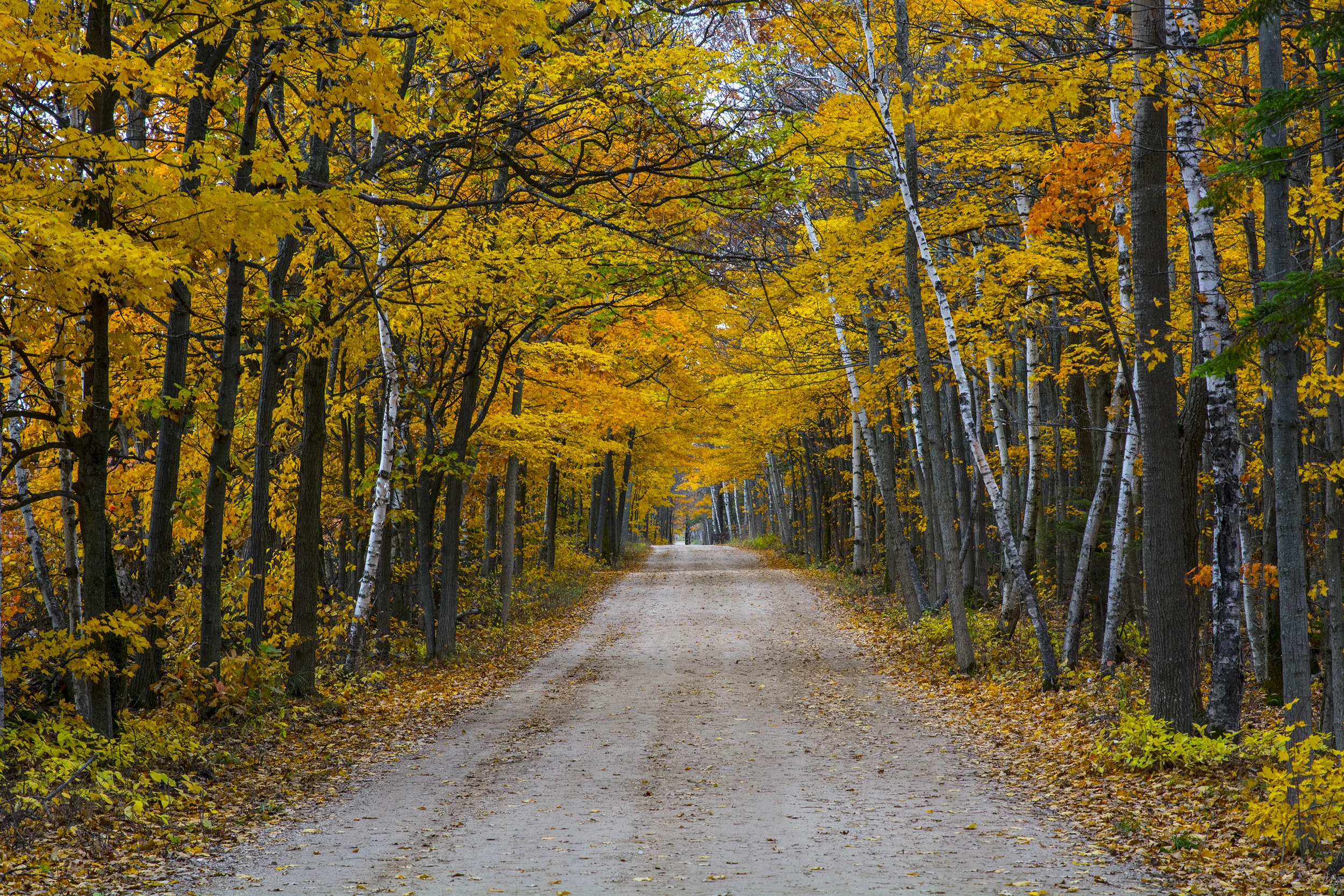 road.jpg