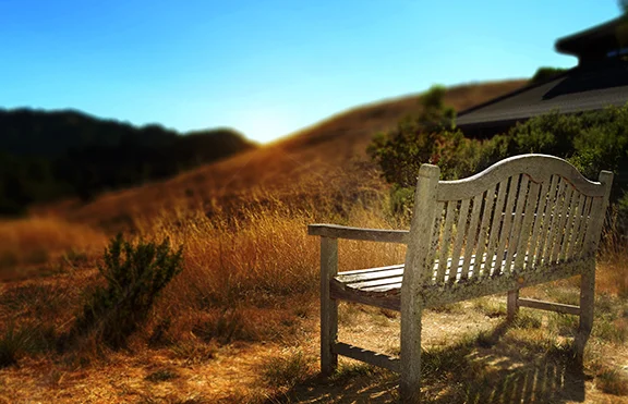 Spirit Rock Bench_FOR PRACTICE PERIOD.jpg