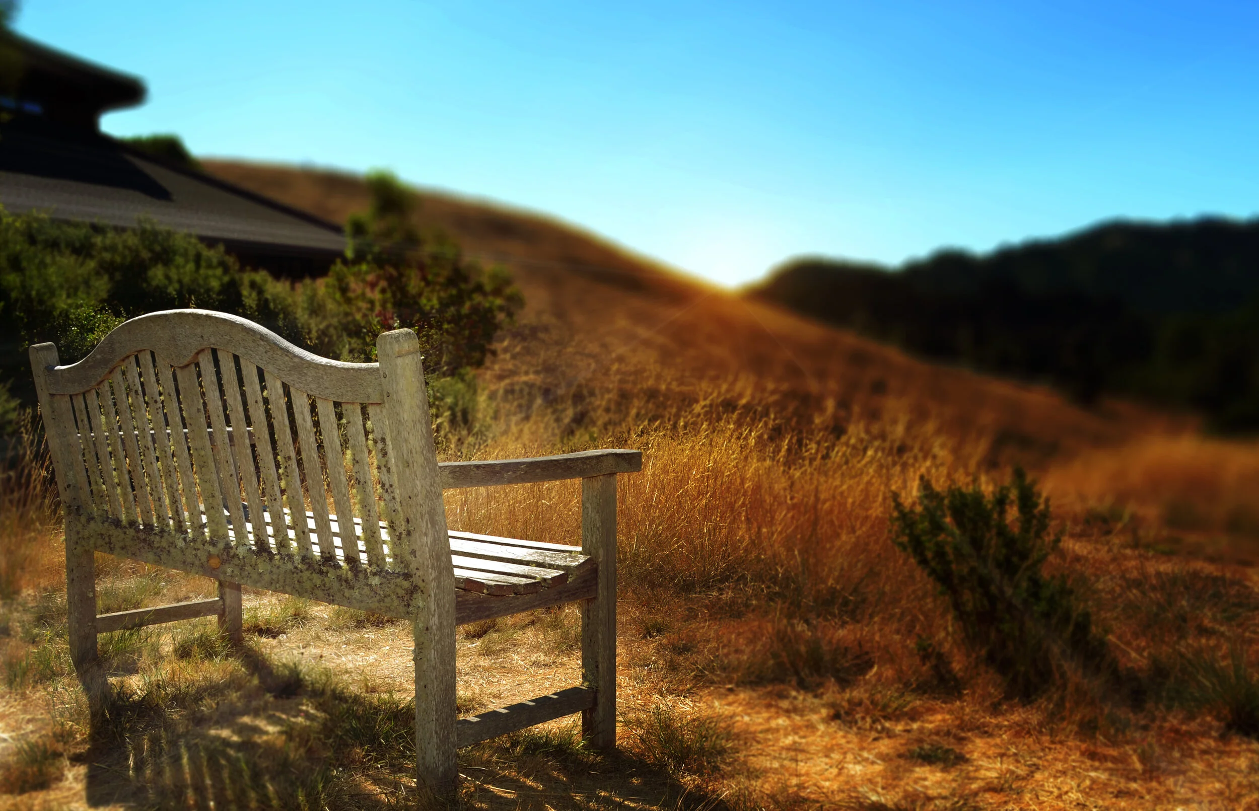 Spirit Rock Bench.jpg