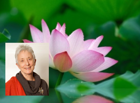 Thursday Night Meditation Drop-in Group ONLINE