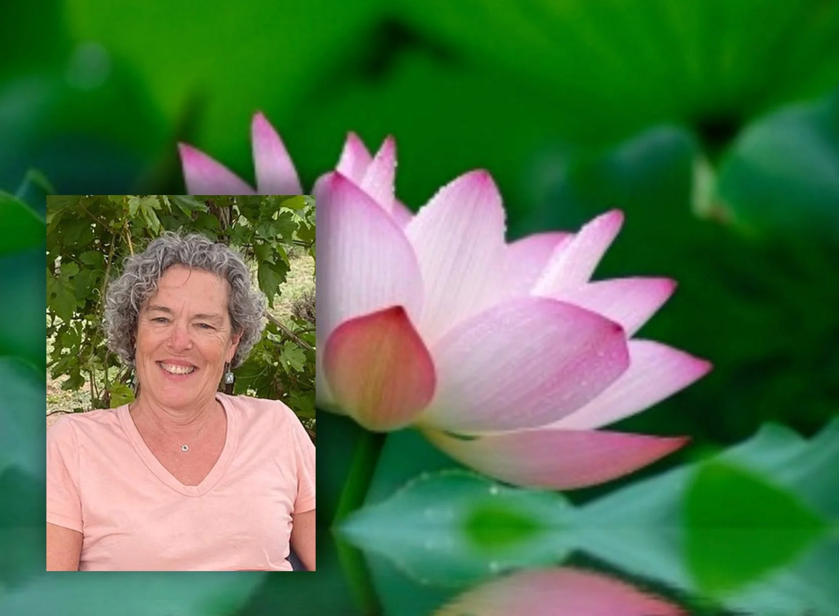 Dharma Drop-in Group: Hybrid In-Person / Zoom
