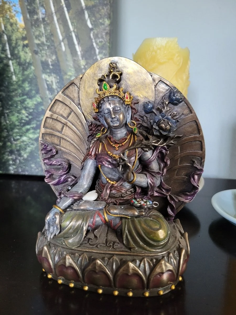 IMT Movie Night (Central Tucson)