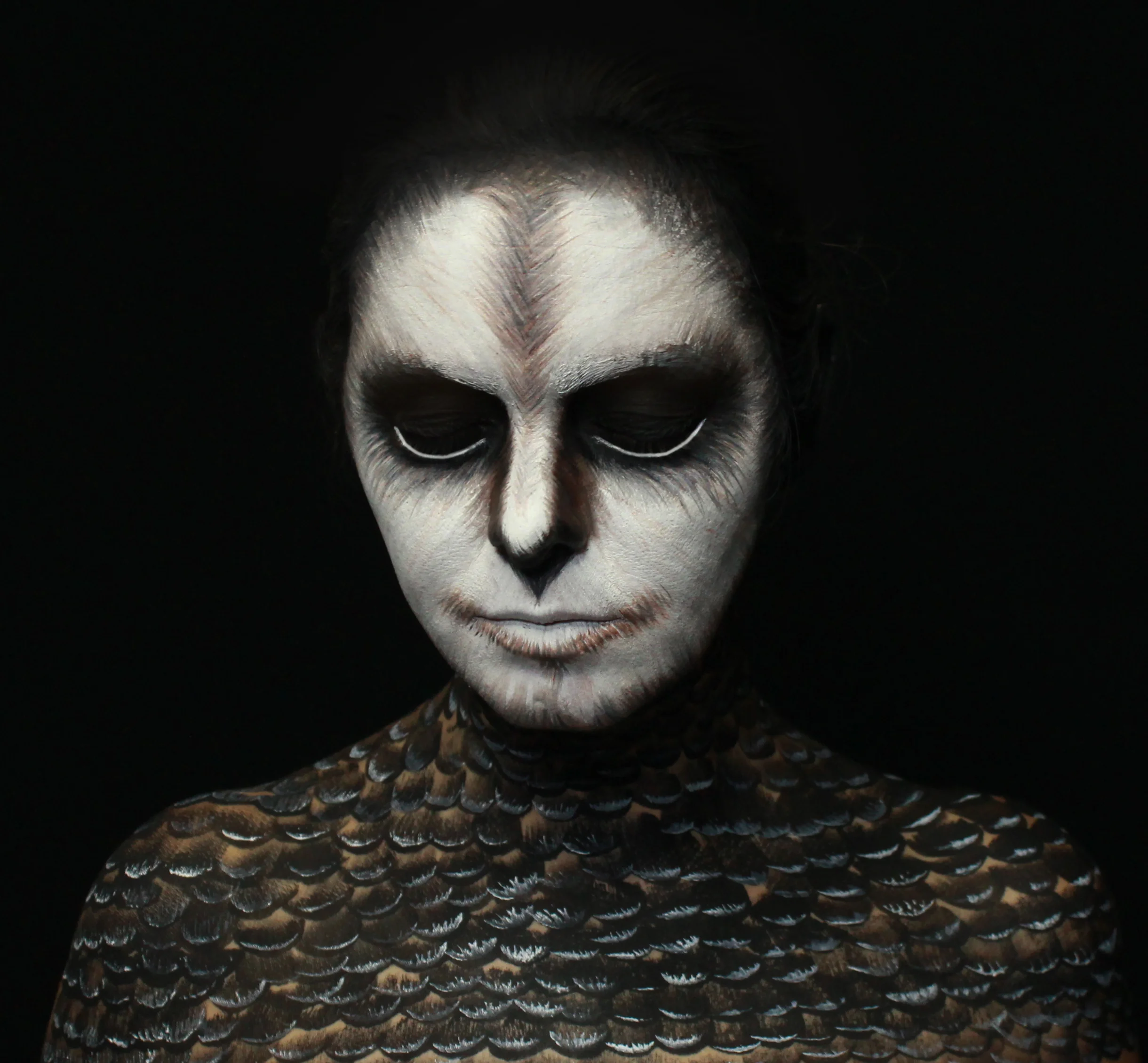 28.owl.jpg