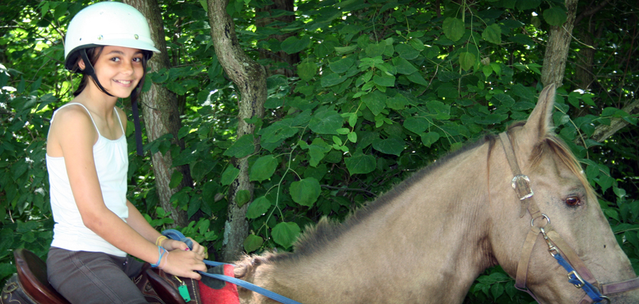 Horseback riding lessons