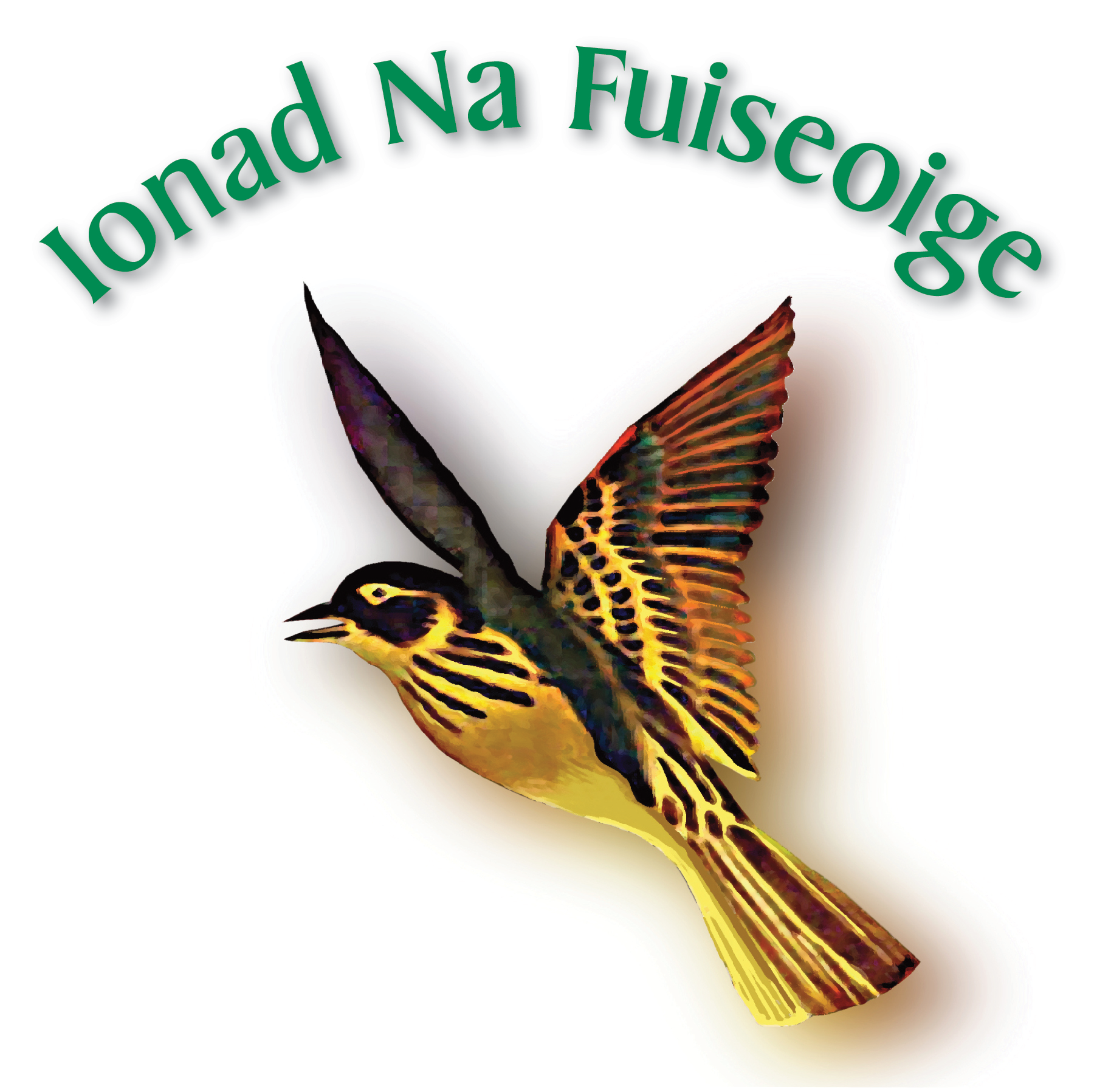 Ionad na Fuiseoige