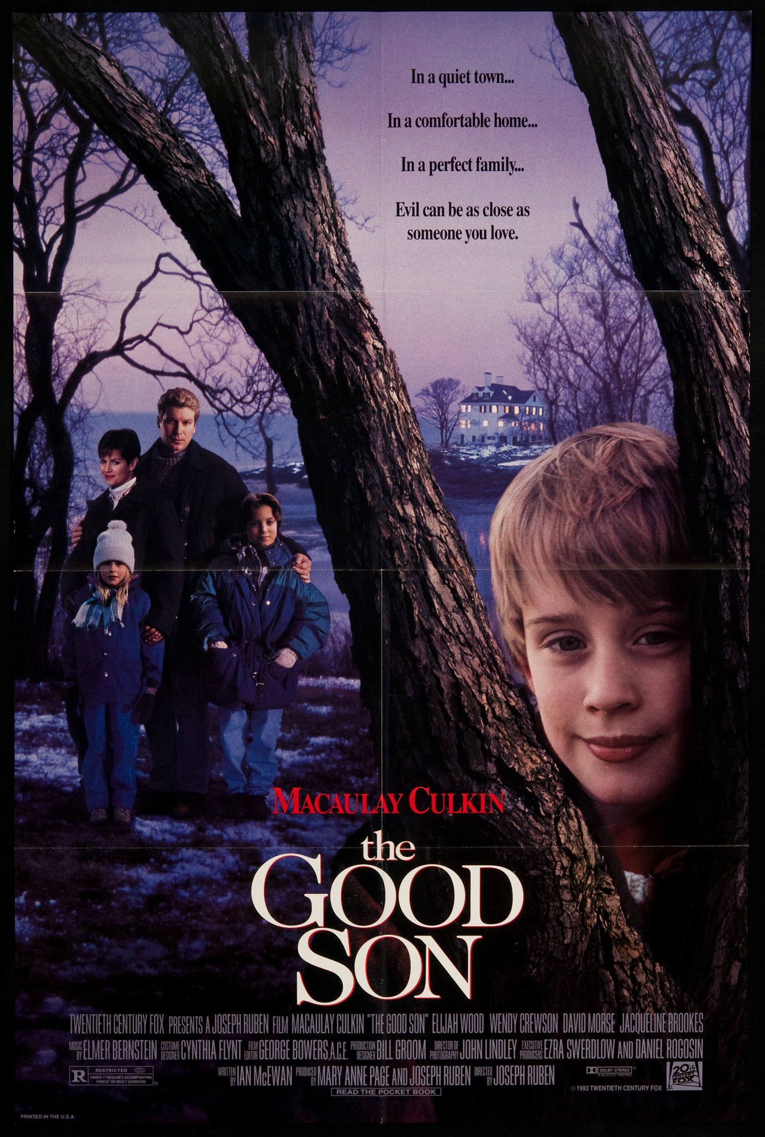 The_Good_Son_movie_poster.jpg