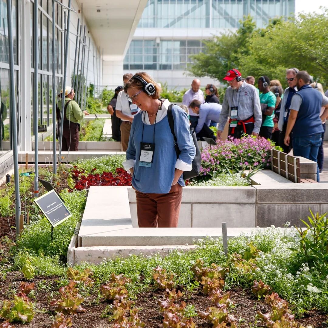Join us on Sunday, April 14 when we explore the largest farm-to-fork rooftop garden operation in the Midwest, managed by the Chicago Botanic Garden&rsquo;s Windy City Harvest program. 

Spring offers the chance to see the bare bones of the farm, and 