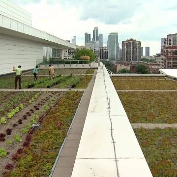 Join us this Sunday, April 14, at McCormick Place, when we explore the largest farm-to-fork rooftop garden operation in the Midwest, managed by the Chicago Botanic Garden&rsquo;s Windy City Harvest program. 

Spring offers the chance to see the bare 