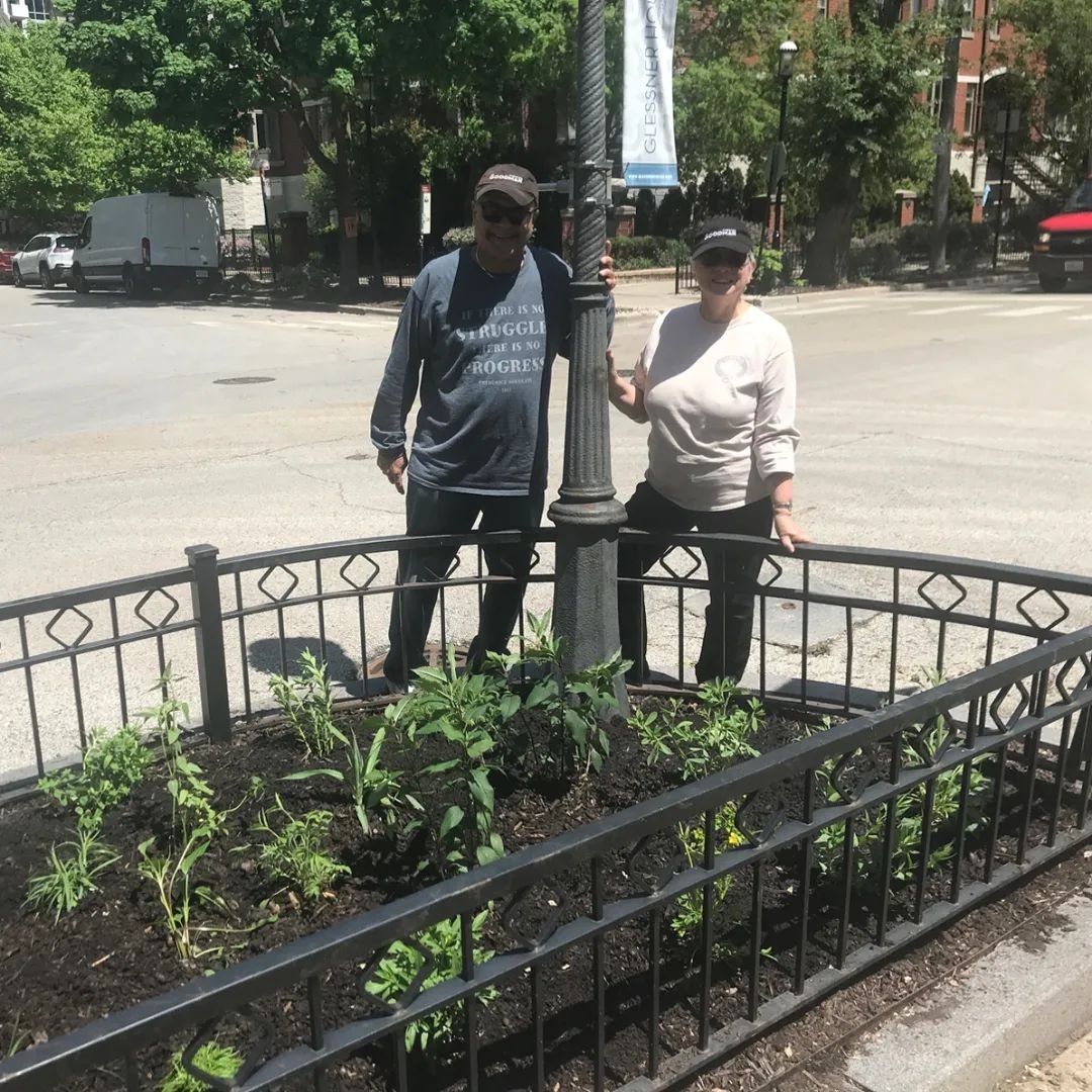A huge thank you to our faithful volunteers, Allan and Angie Vagner, for planting our new parkway garden at the corner of Prairie Avenue and 18th Street. 

The perennials selected are all native Illinois plants, and include asters, coneflowers, liatr