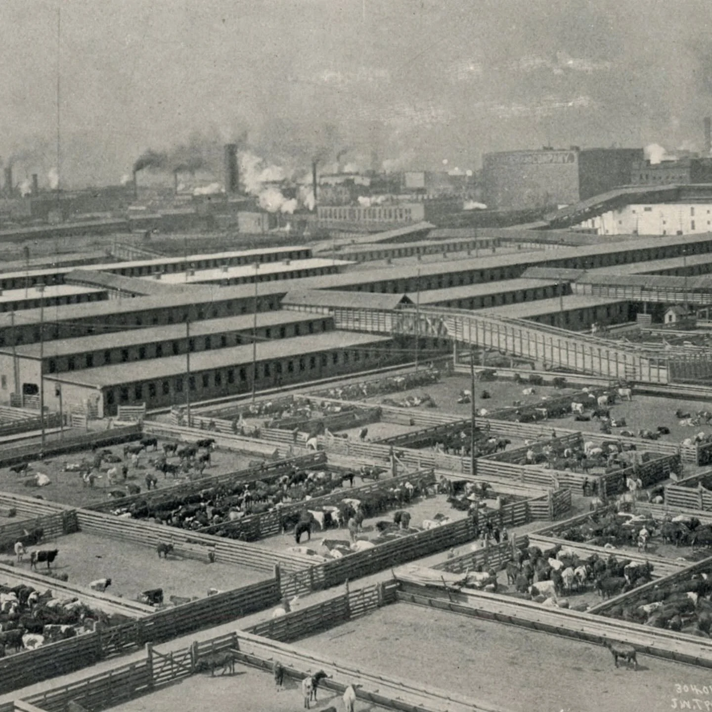 Chicago&rsquo;s Union Stock Yards opened exactly 160 years ago today &ndash; December 25, 1865. 

The Stock Yards covered 320 acres, bounded by 39th Street, Halsted, 49th Street, and Racine, and were outside the city limits when first opened. 

By th