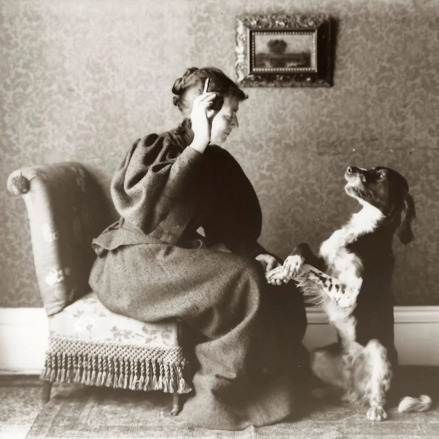 Exactly 127 years ago today &ndash; January 19, 1899 &ndash; Rose Fay Thomas and three of her friends met to discuss the need for an organization devoted to the welfare of Chicago&rsquo;s animals, later incorporated as the Anti-Cruelty Society. 

Tho