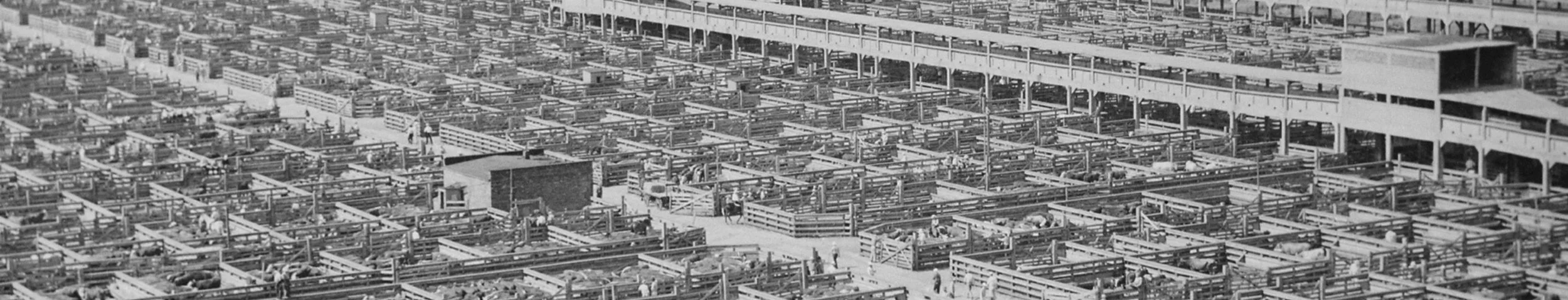 ONLINE - Slaughterhouse: Chicago's Union Stock Yard and the World It Made
