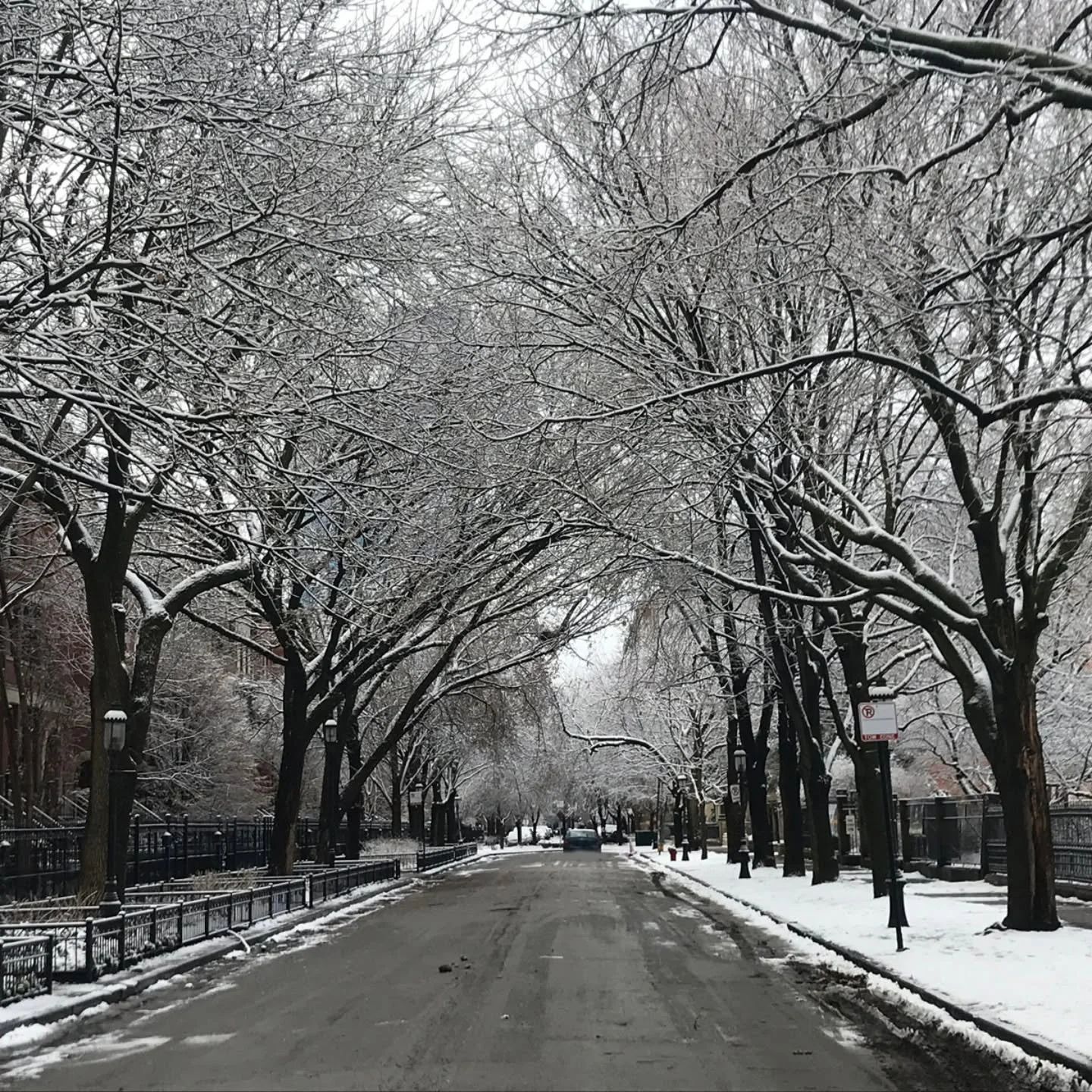 This week&rsquo;s 📸 Photo Friday 📸 celebrates the first day of spring with the hopes that the season will start out on a better note than it did last year. 

Spring 2025 began with nearly three inches of heavy wet snow fall in the Chicagoland area.