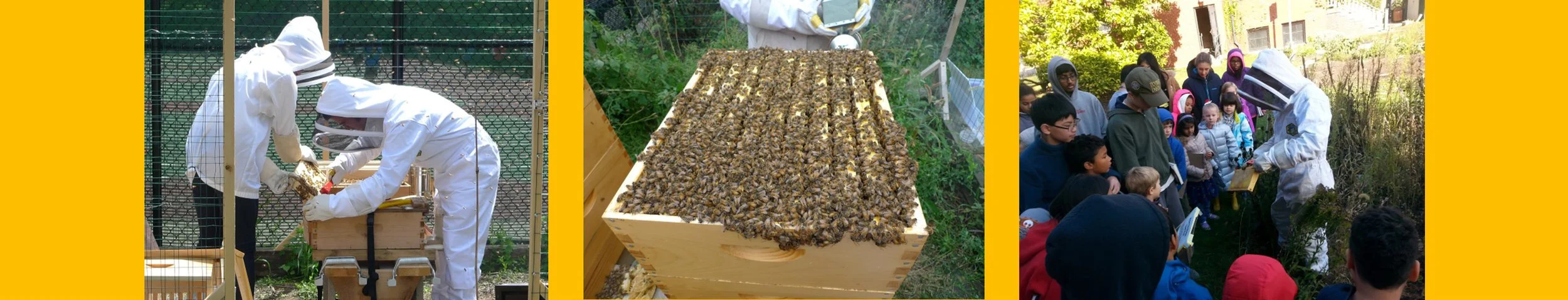 Beekeeping 101