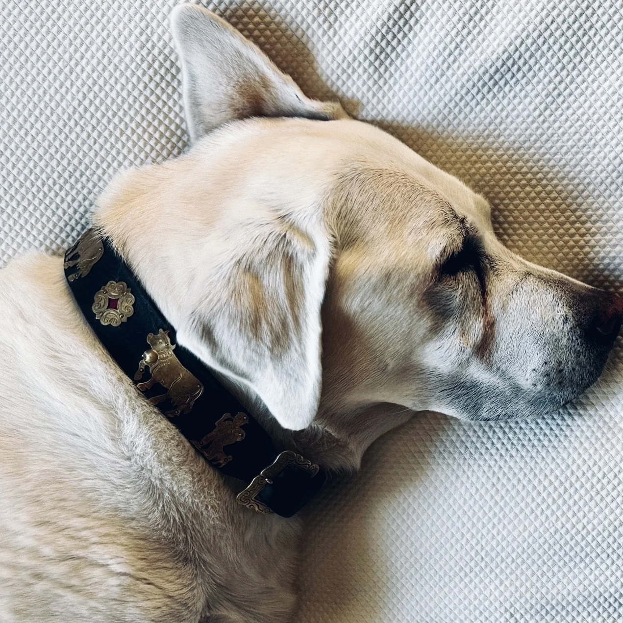 This is a fundamental axiom of Euclidean geometry, true in any non-curved Universe with three dimensions or less:
&mdash;&mdash;The sum of angles of a triangle always equals Cotton&mdash;-