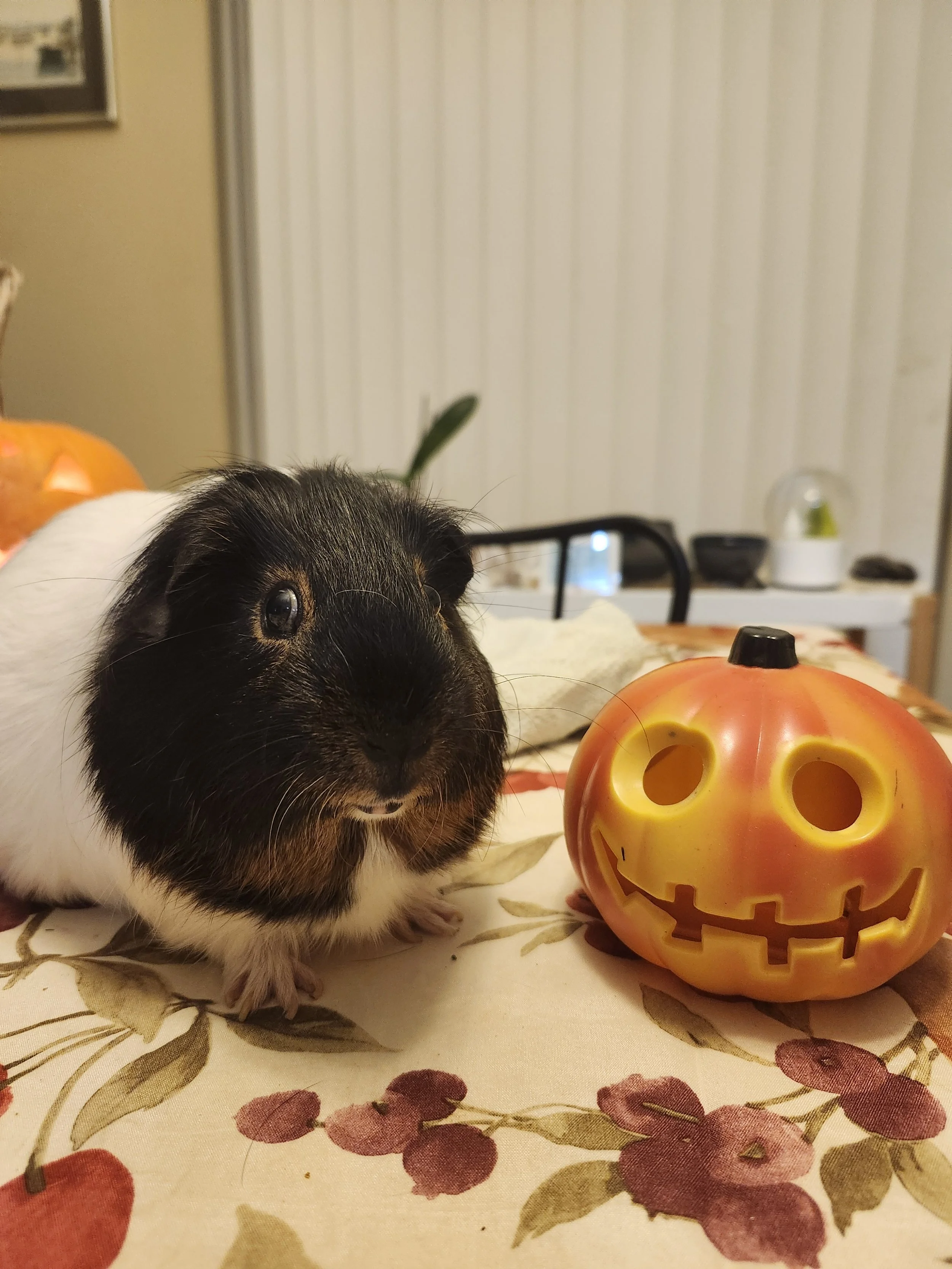 20241031_184902 - Copy.jpg