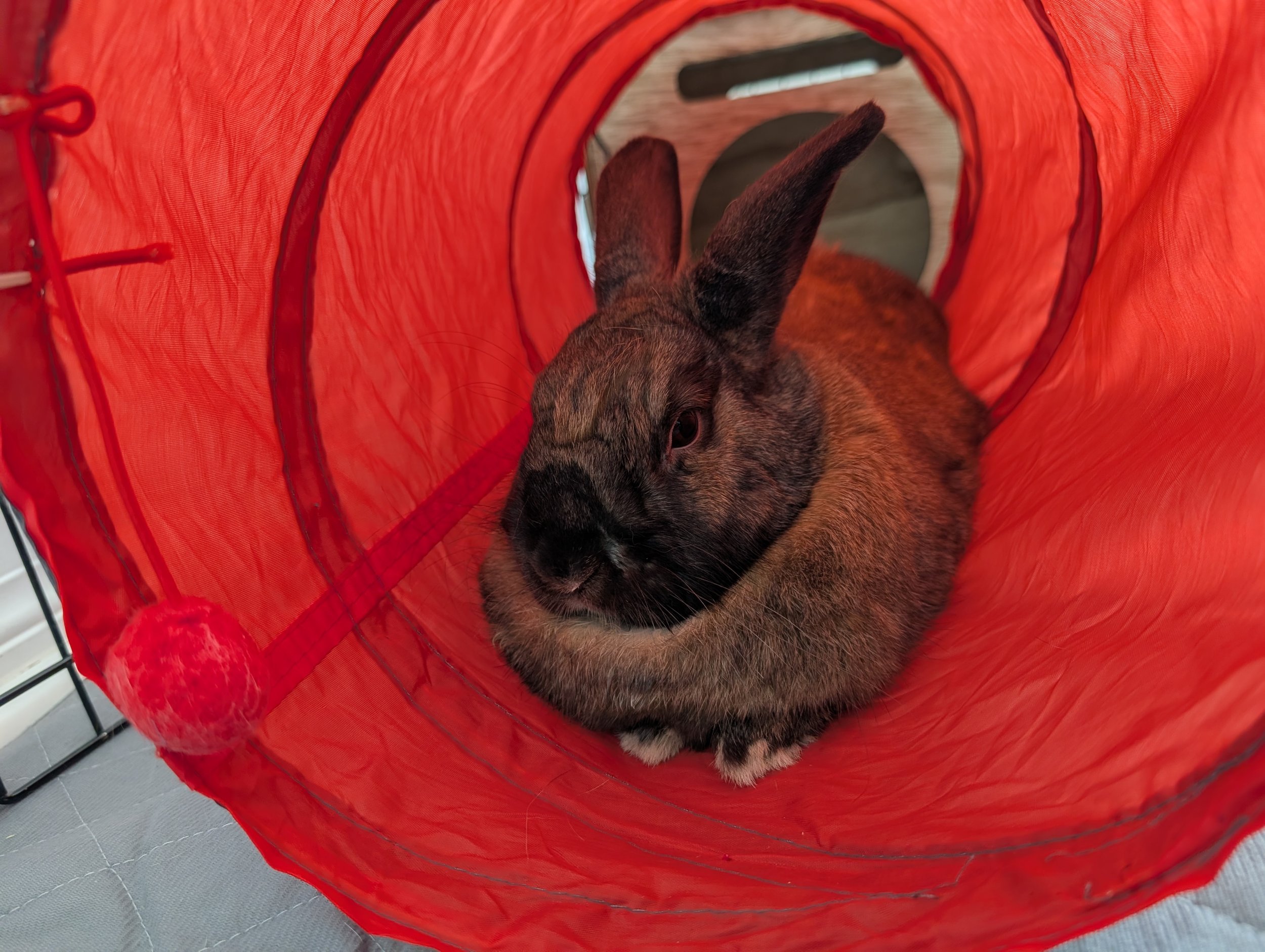 Squiggles 4 Jennifer.jpg