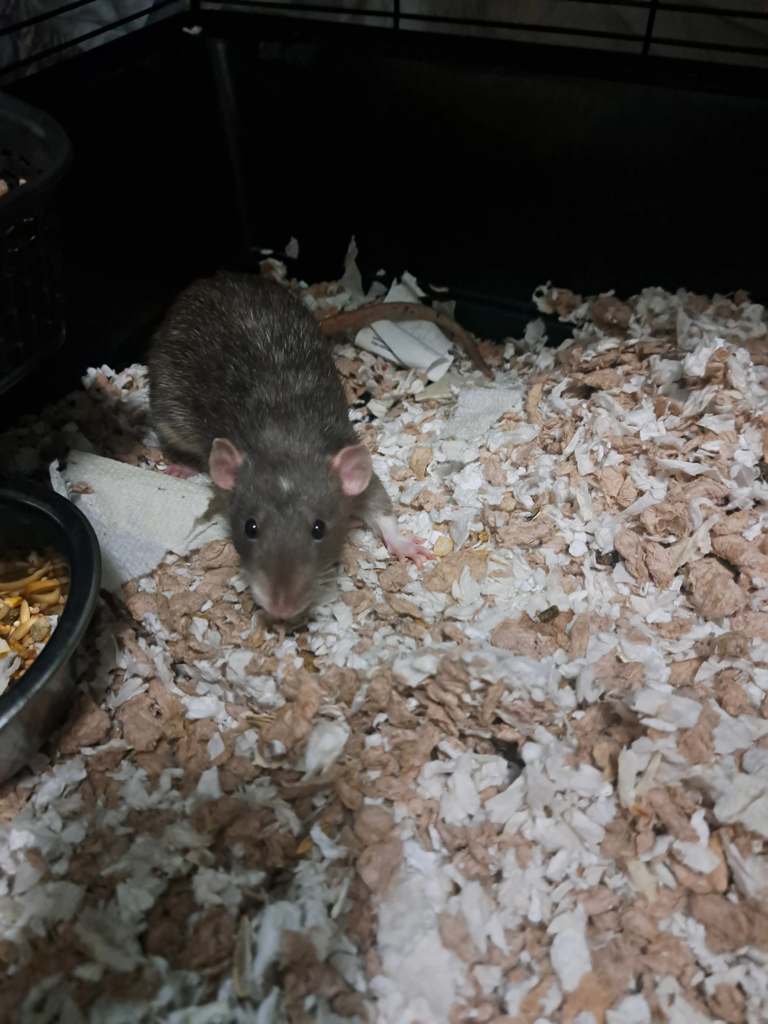 20260225_211922 Andrea Fagan.jpg