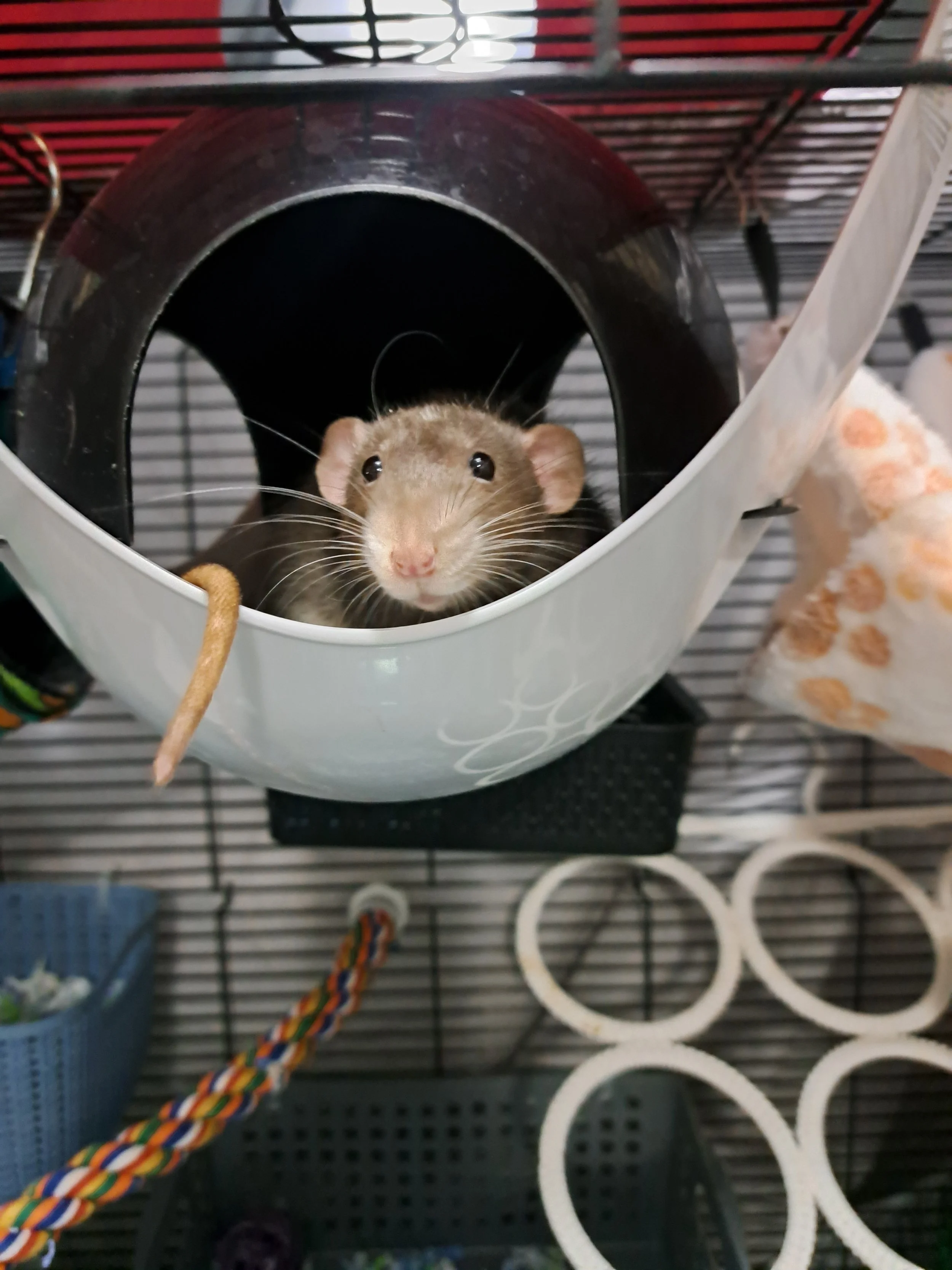 20260328_204845 Andrea Fagan.jpg