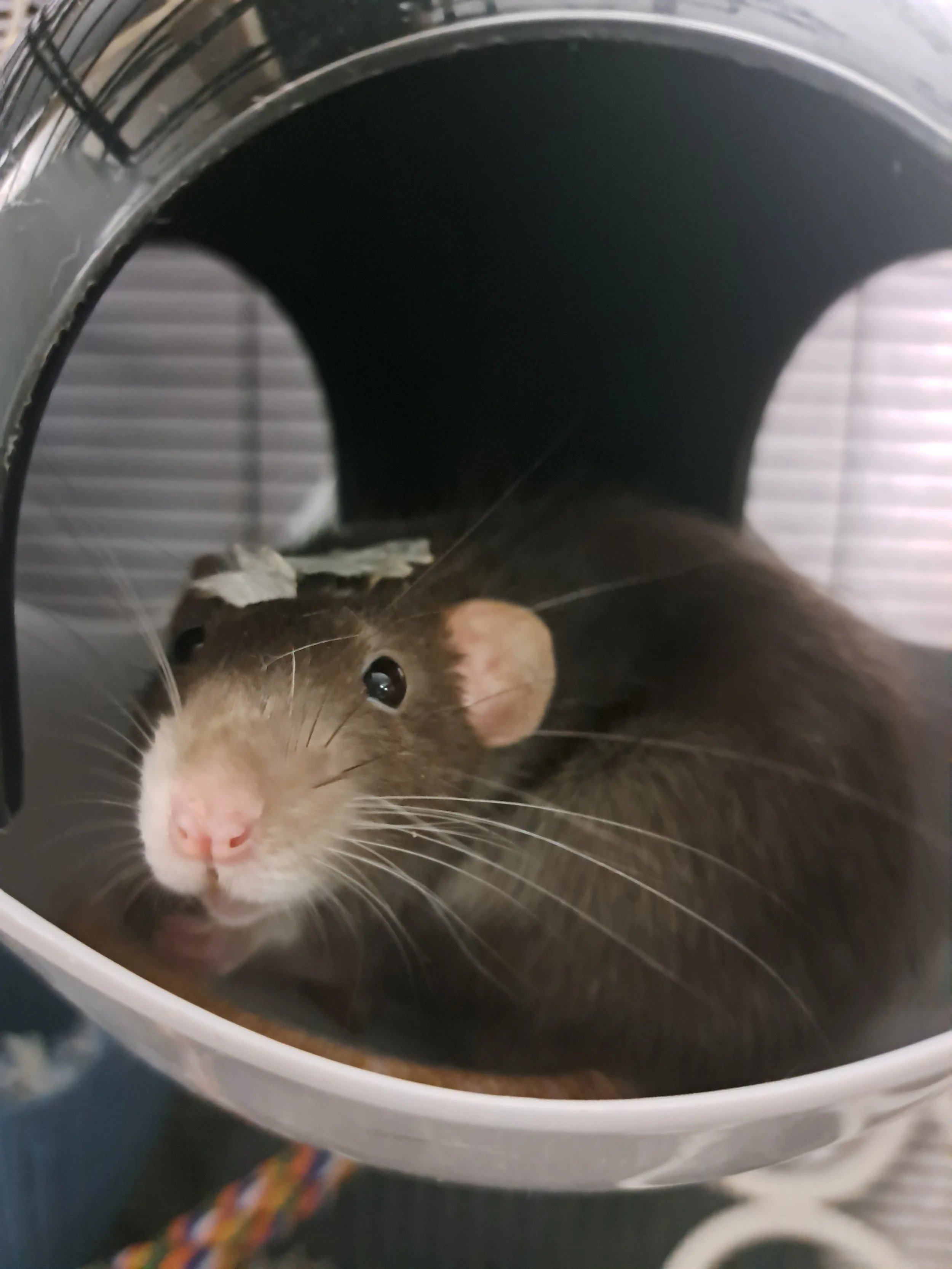 20260323_181754 Andrea Fagan.jpg