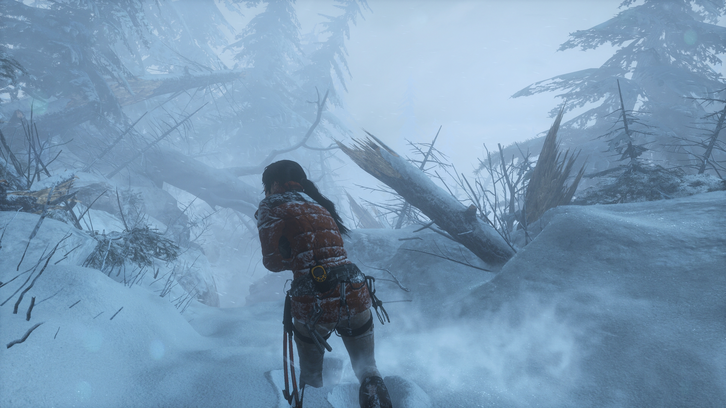 ROTTR_2016_01_26_22_29_37_835.jpg