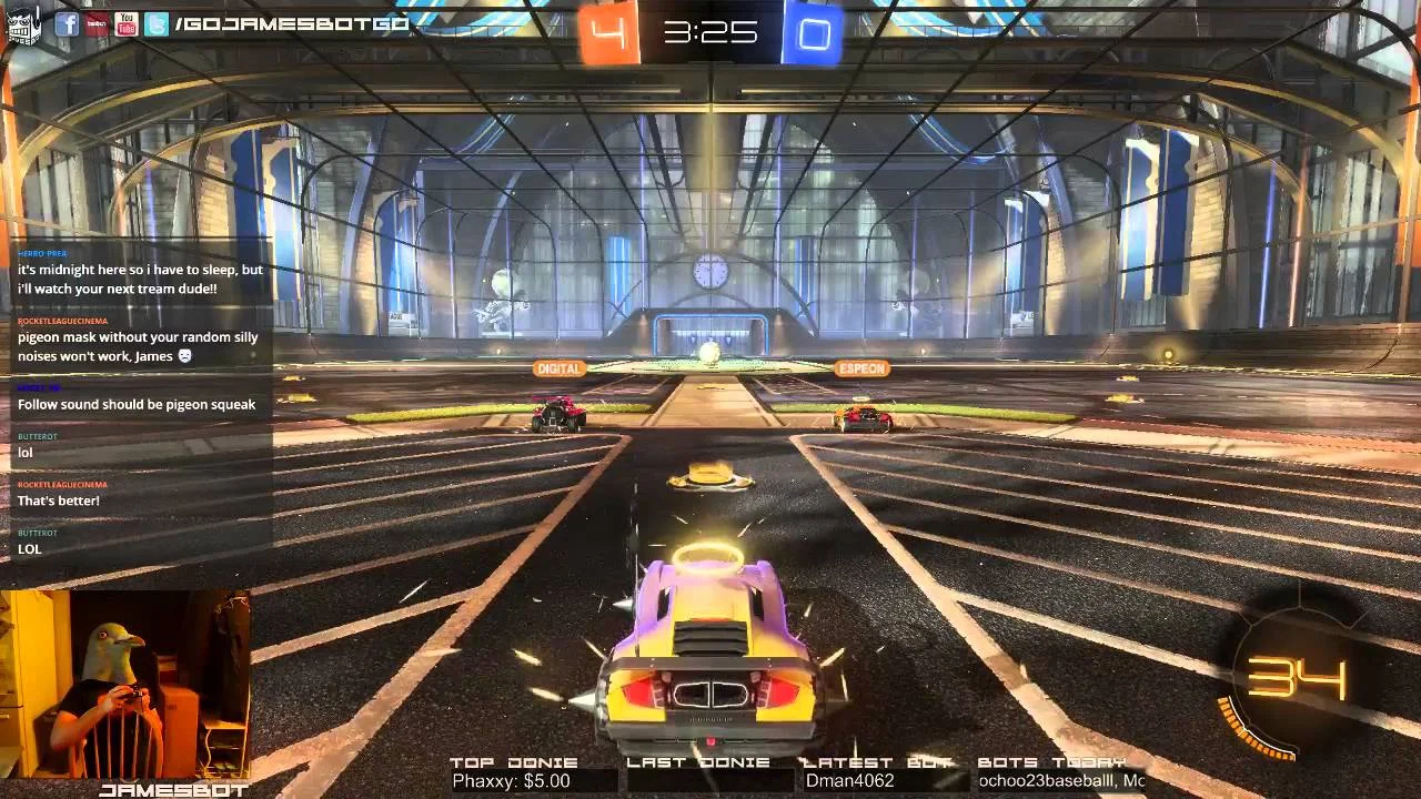 Girlfriend Walks In On Man Streaming On Twitch In A Pigeon Mask