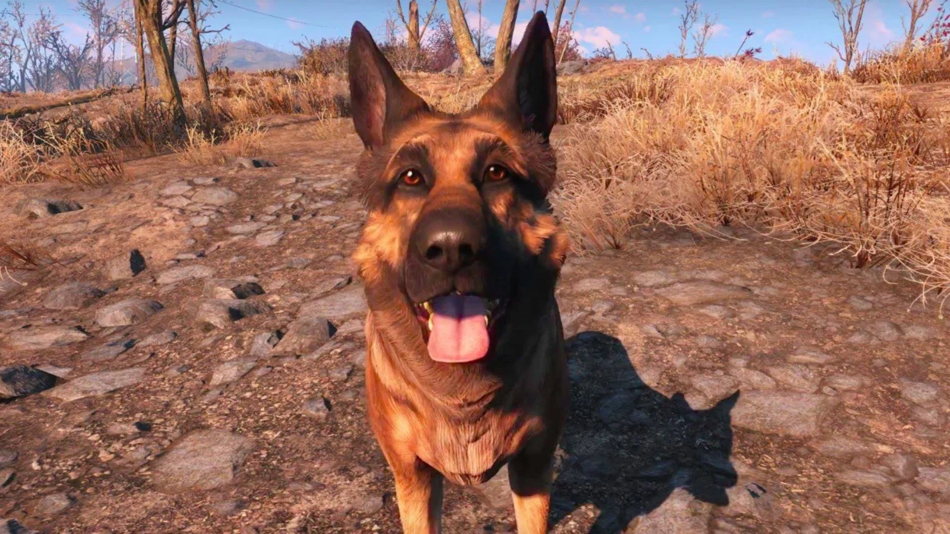 "Dogmeat" Wins Game Dog Of The Year At World Dog Awards