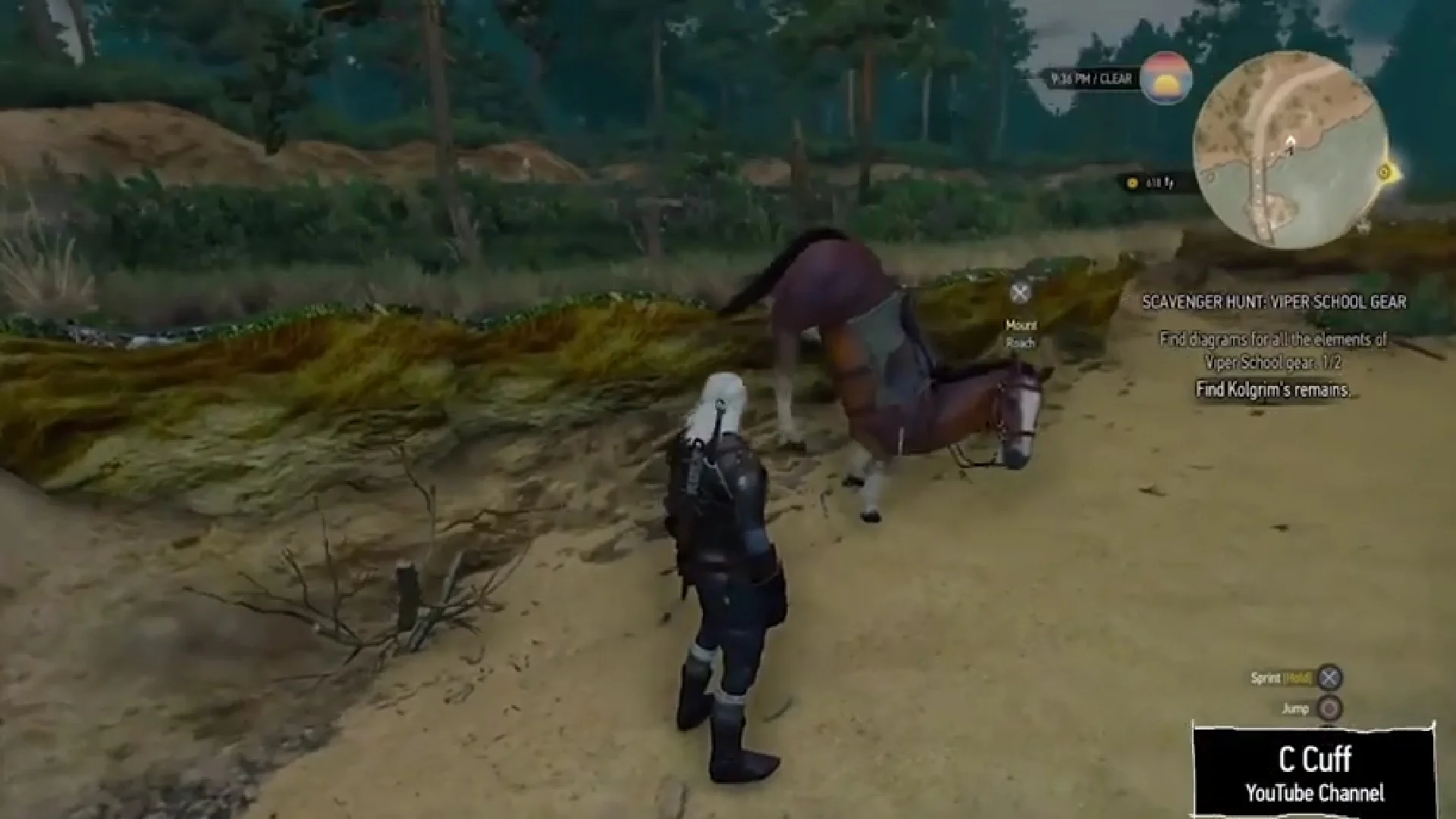 THE WITCHER 3 Staff Explains The Detail It Took To Create The Horse Glitches