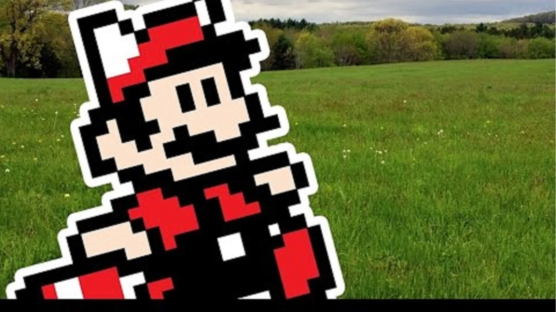 Video: If Mario Games Had Nature Documentaries