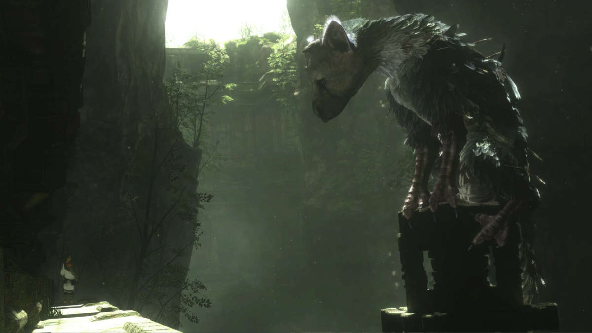 The Last Guardian New Footage and Screenshots Out